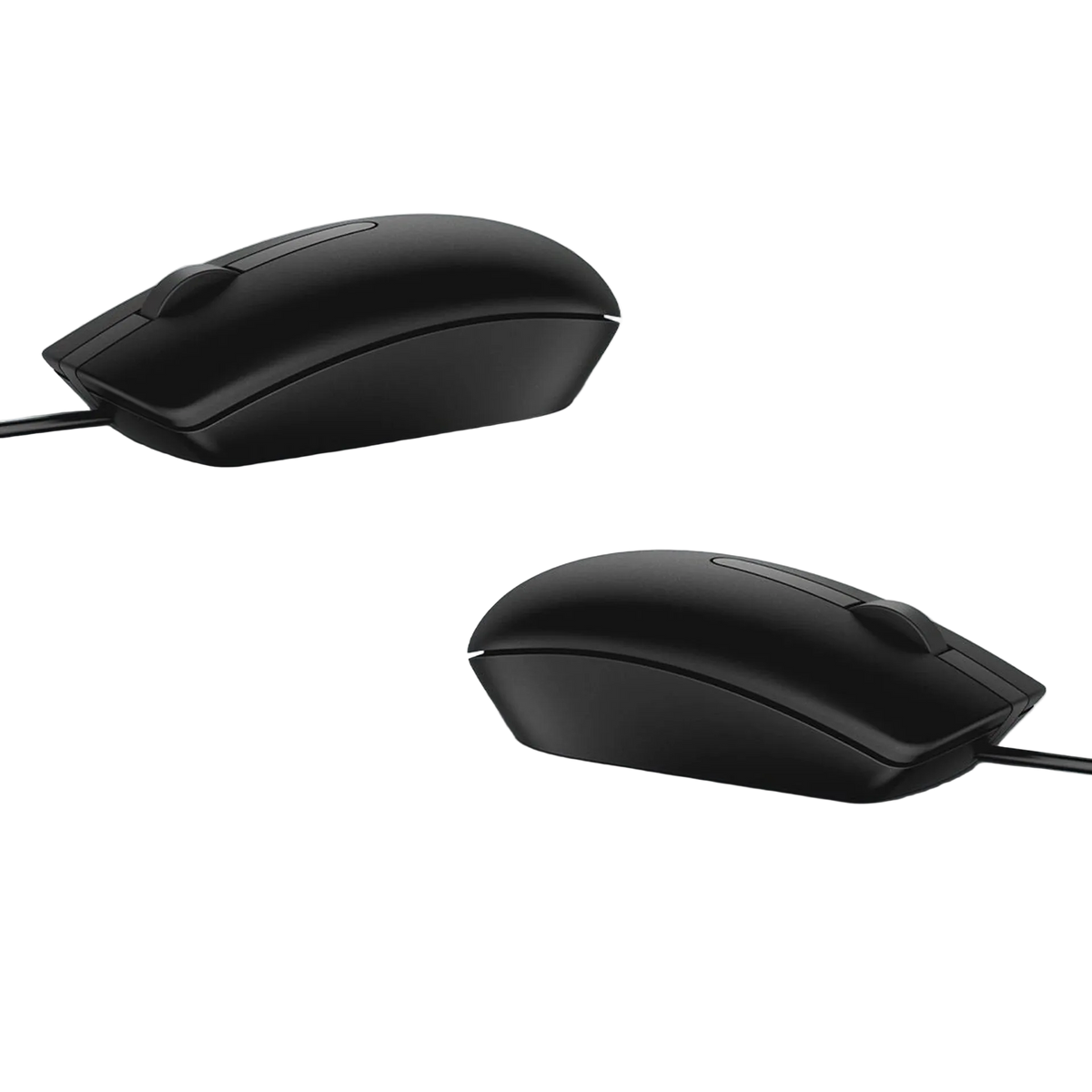 Two black computer mice on a light blue background